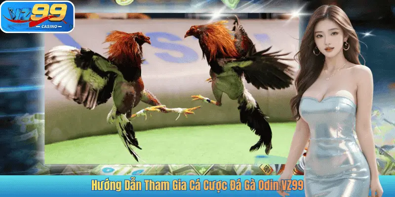 Hướng Dẫn Tham Gia Cá Cược Đá Gà Odin VZ99